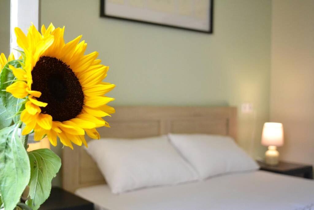 Sunflower Cozy Apts *